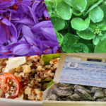 huitres-cresson-quinoa-safran-ces-super-aliments-qui-ont-tout-bons